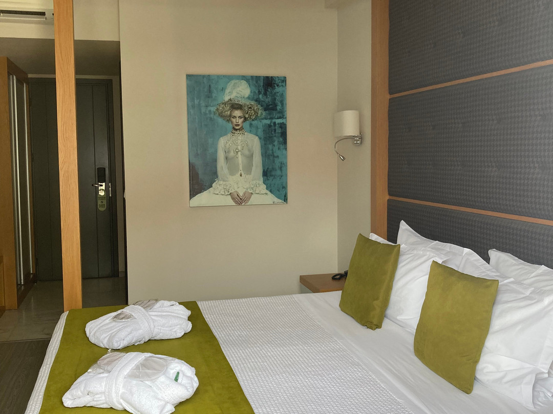 拉佩西尼艺术酒店主图