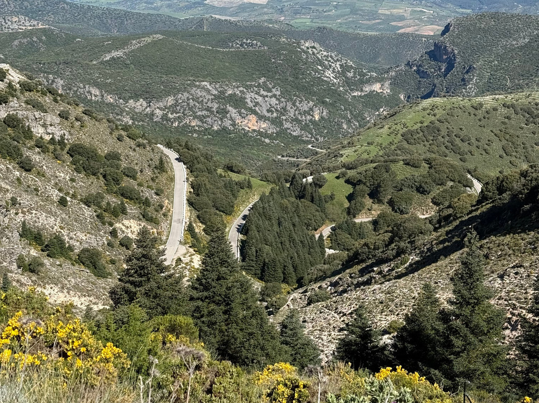 Andalucian Cycling Experience Day Trips景点图片