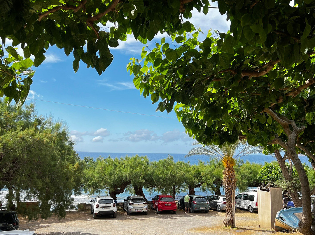 Waves on the Rock主图