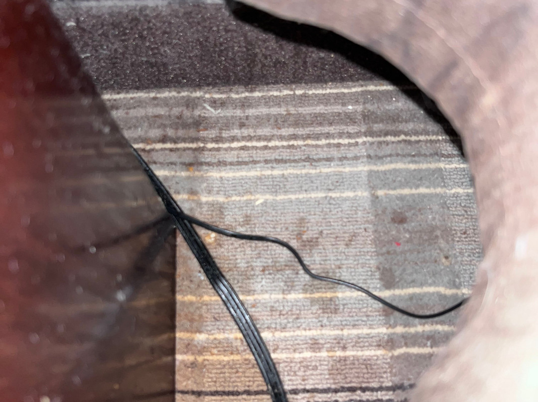 Best Western Plus Crawfordsville Hotel主图