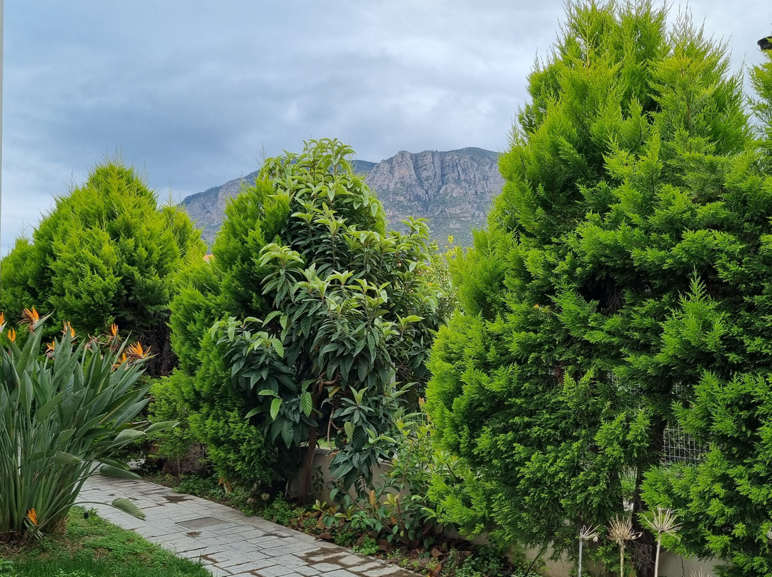 阿吉斯缇斯酒店主图