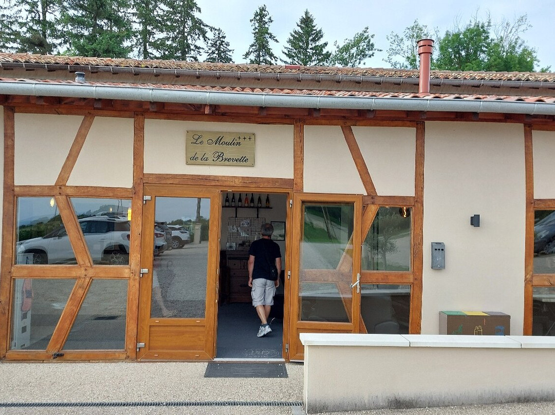 Hôtel Du Moulin De La Brevette主图