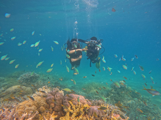 Seahawks SCUBA-哈夫洛克岛必去景点