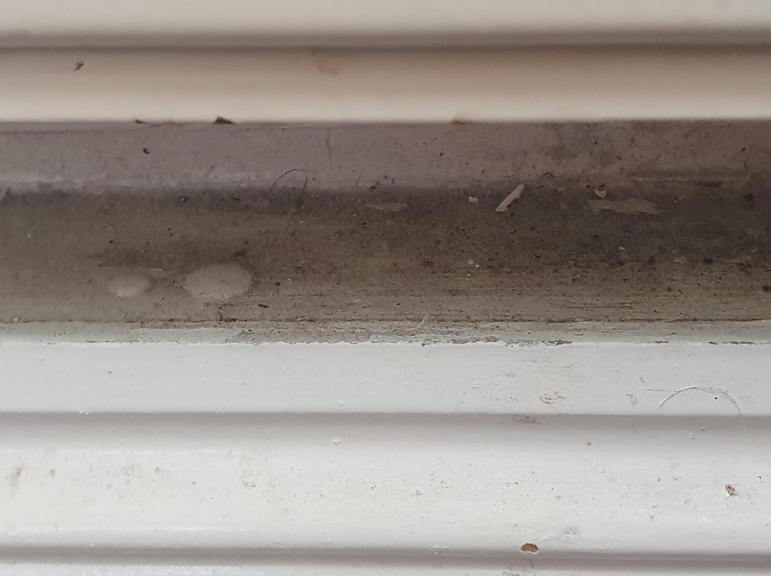 The Shurland Hotel主图