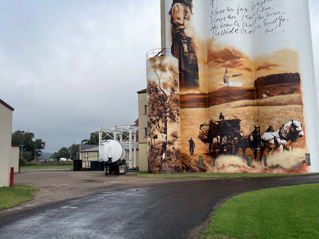 Gunnedah Silo Art景点图片