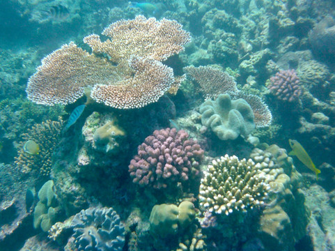 Australian Private Tours-墨尔本必去景点