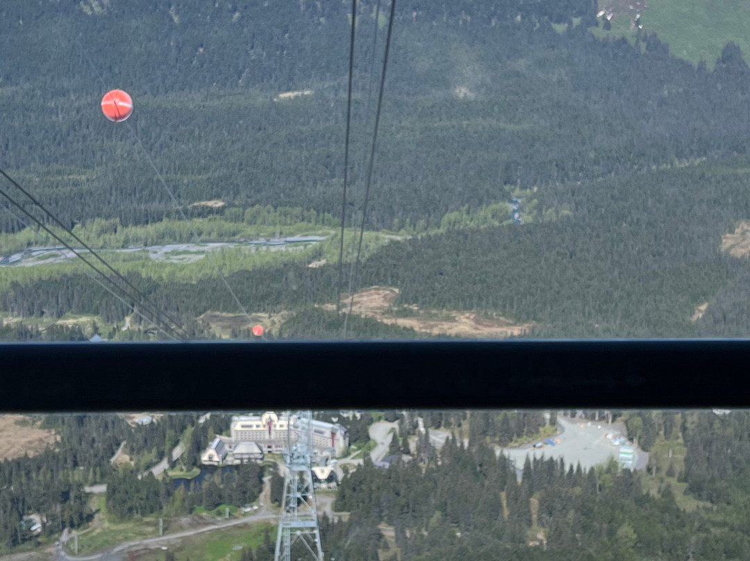 Alyeska Aerial Tramway-戈德伍德必去景点