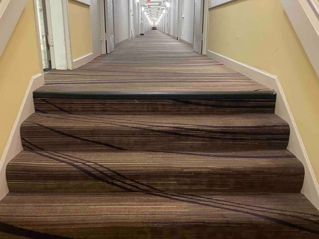 Washington Dulles Airport Marriott主图