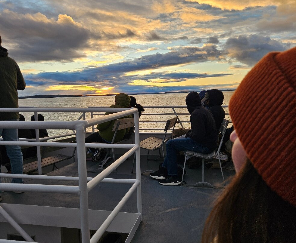 Acadian Boat Tours景点图片
