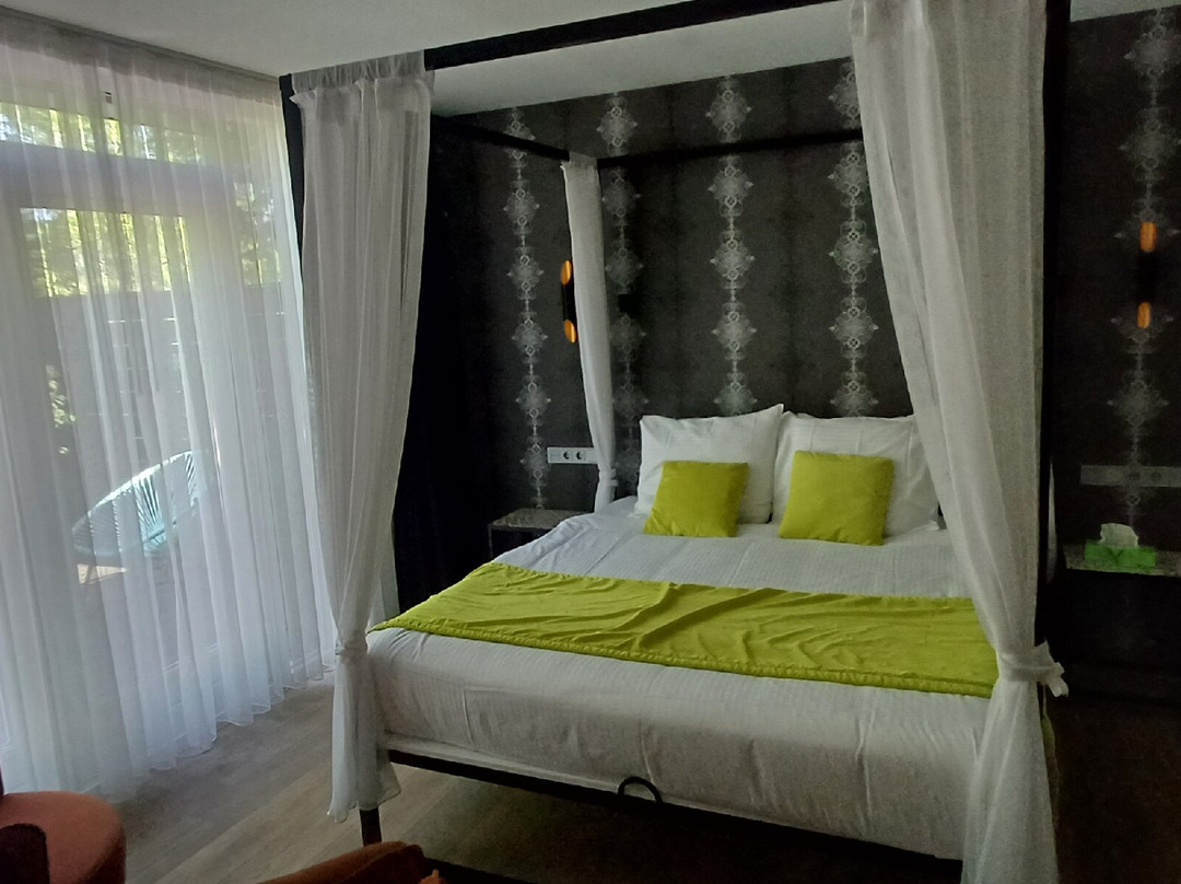 Alp de Veenen Boutique Hotel主图