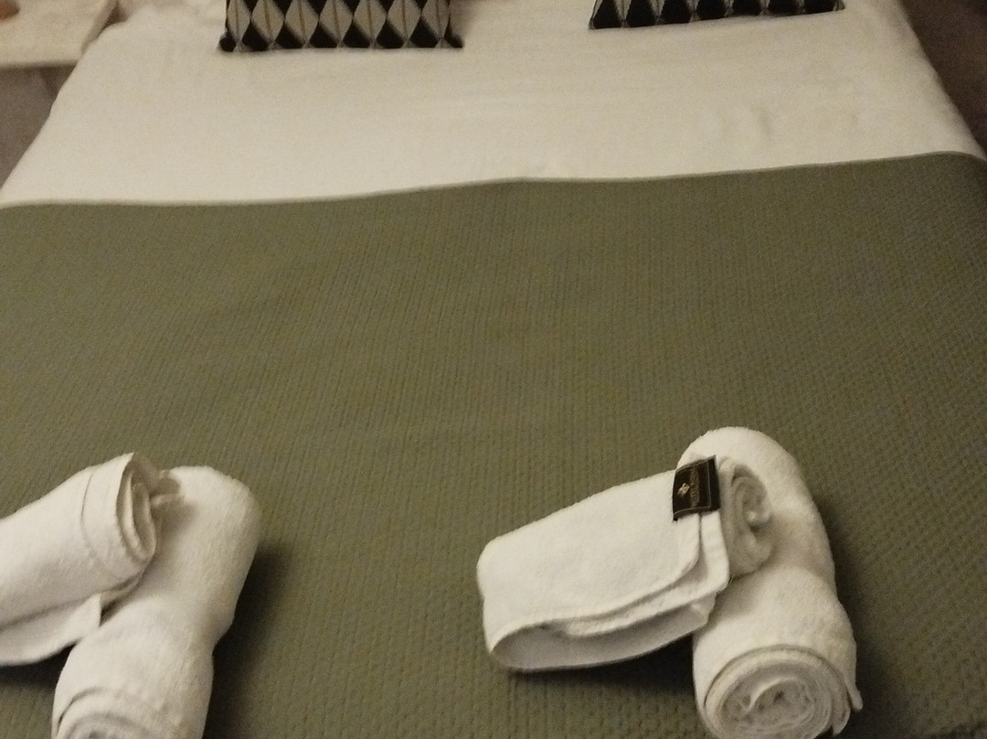 阿尔蒂德夏德鲁酒店主图