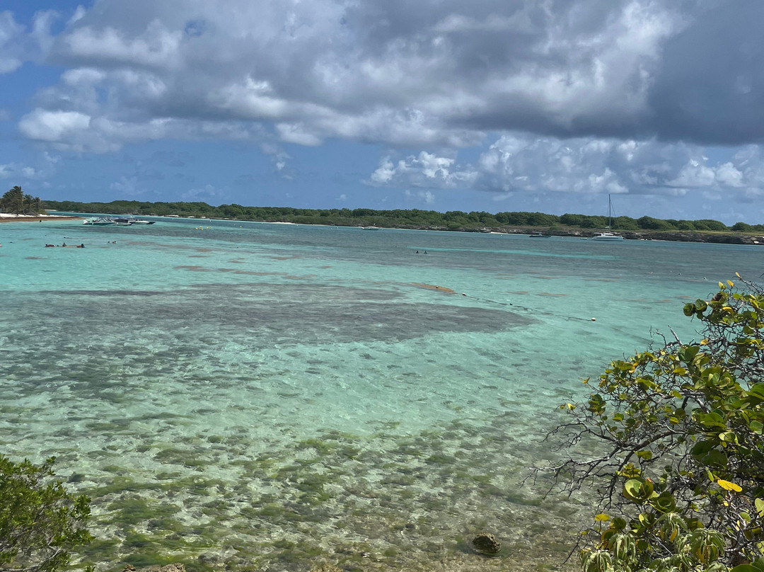 Sademar-Saint Francois必去景点