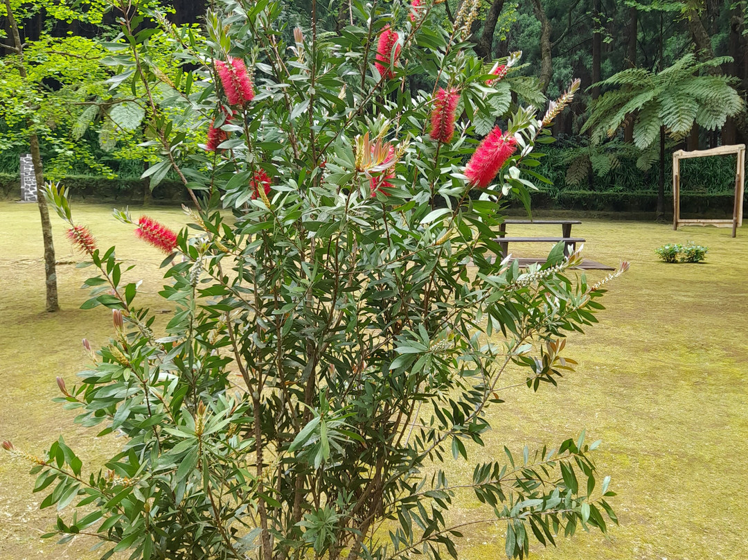 Reserva Florestal de Recreio de Fontinhas-Santa Maria必去景点