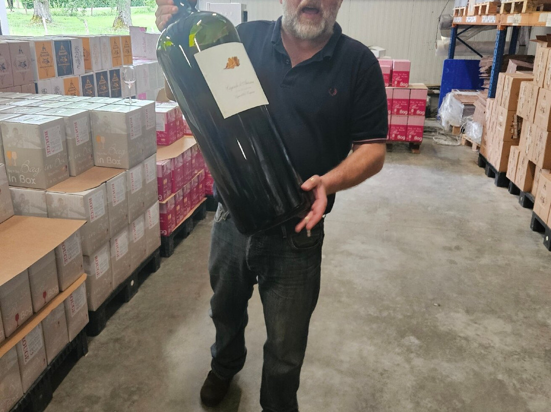 Domaine de La Higuere景点图片
