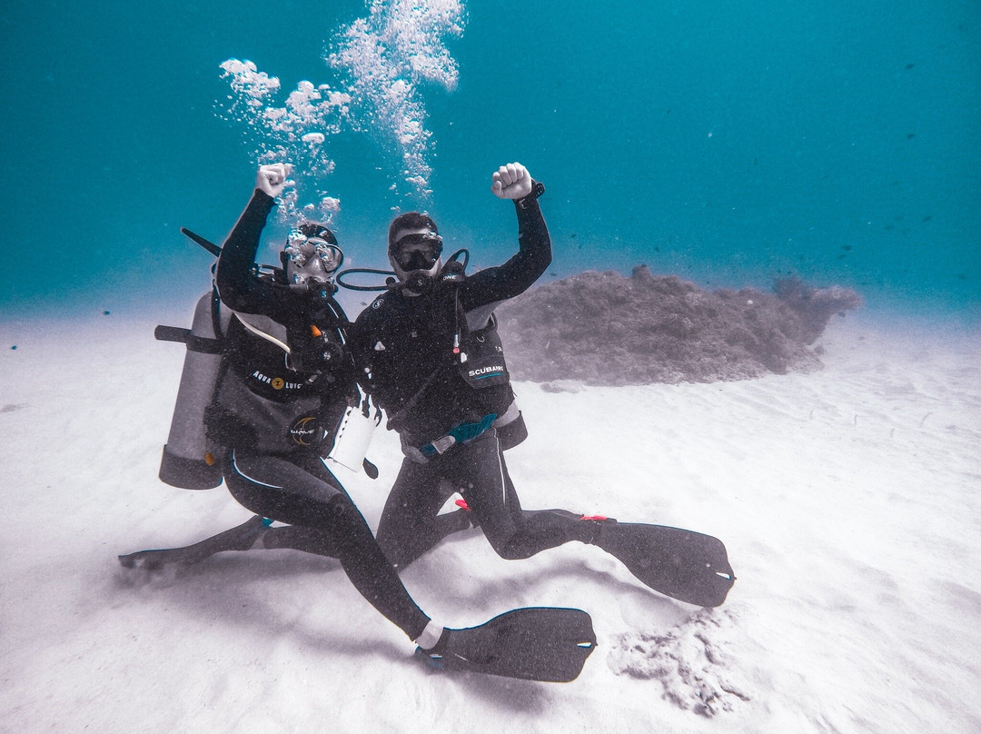 Crystal Divers Mauritius景点图片