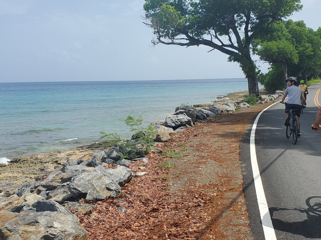 Island Life Adventures-Frederiksted必去景点