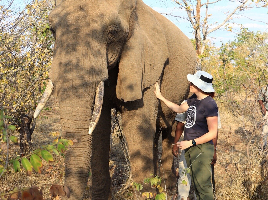 Wild Horizons Elephant Sanctuary景点图片