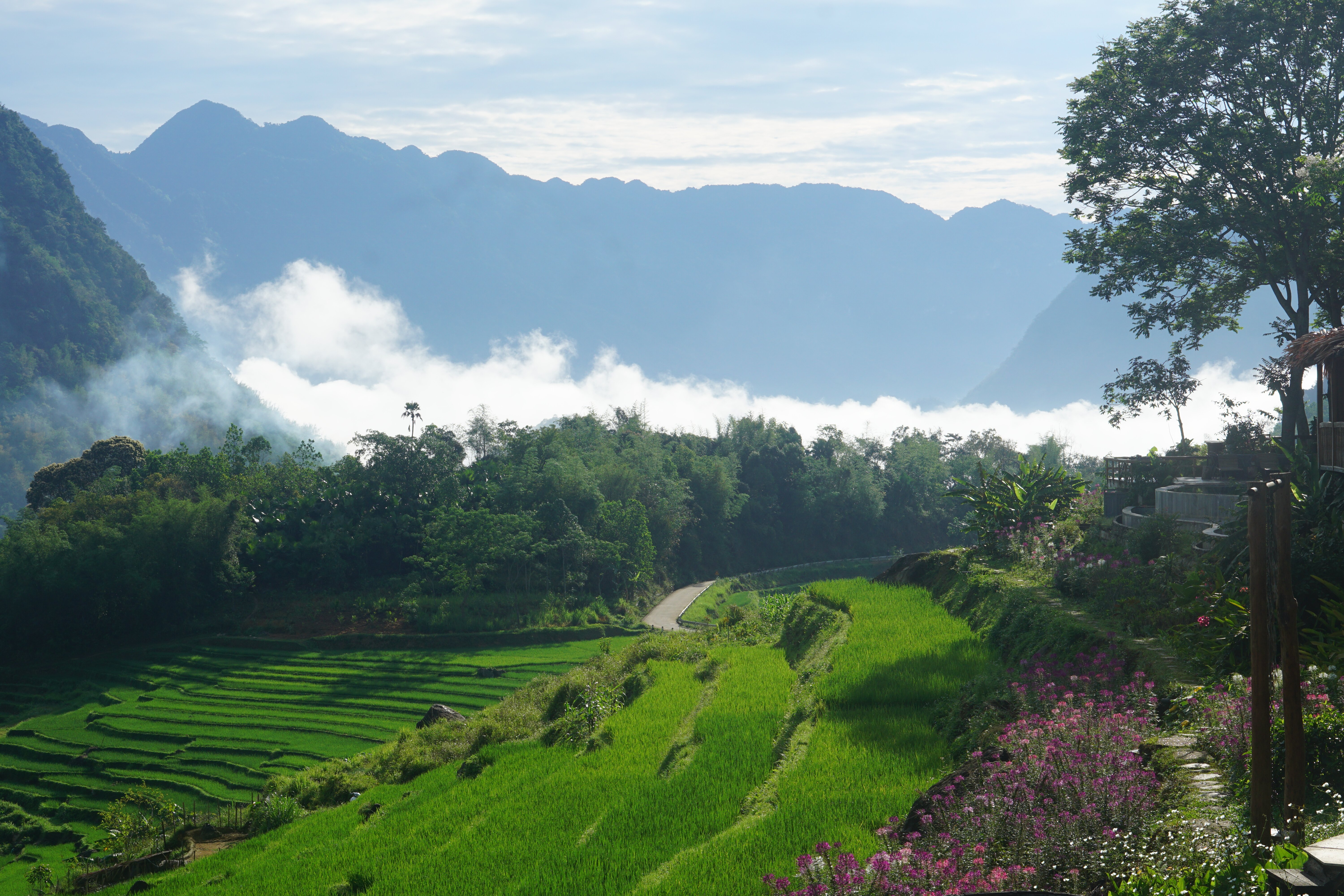 PuLuong Natura-酒店景观