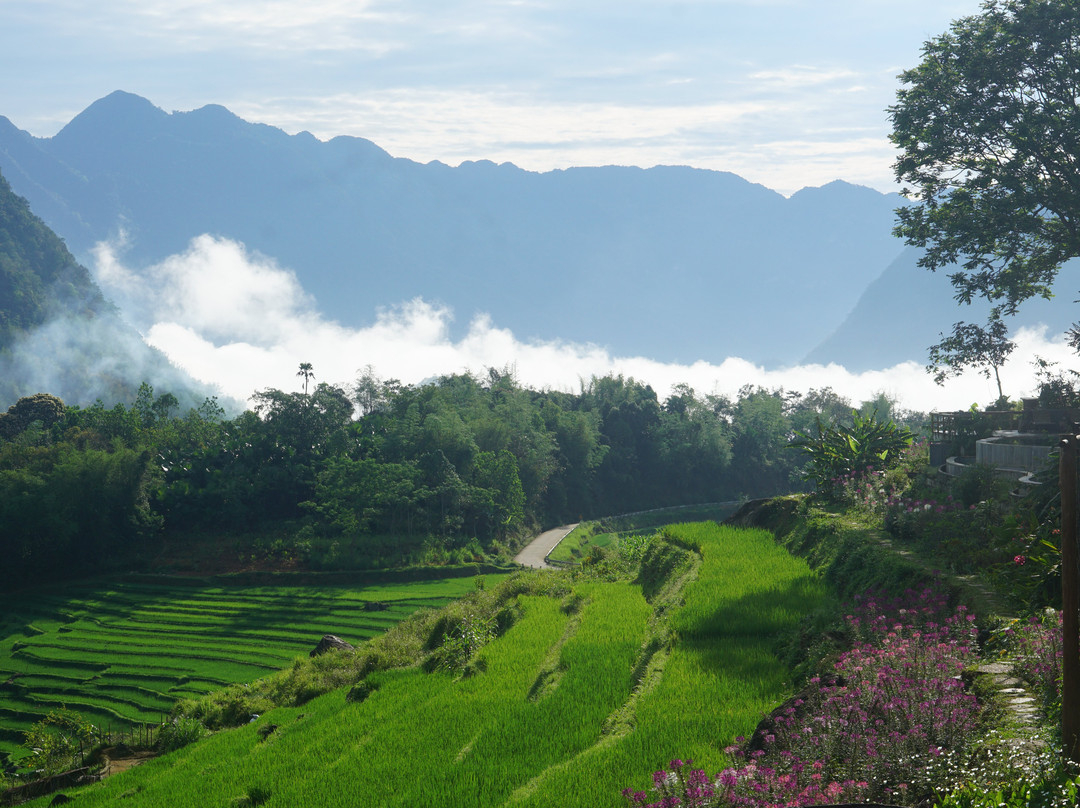 PuLuong Natura主图