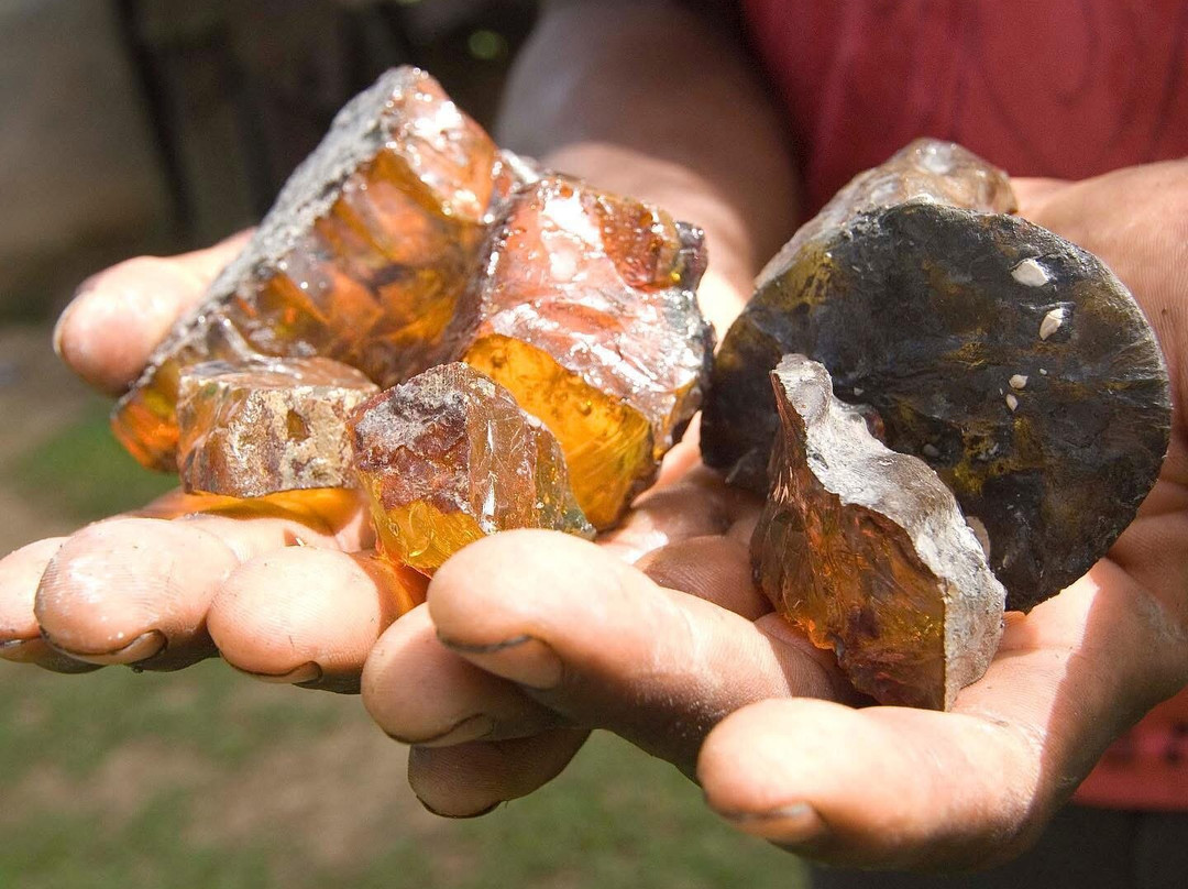 Dominican Amber Museum-普拉塔港必去景点