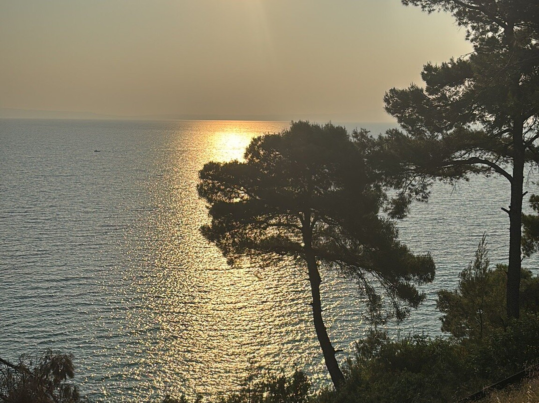 Elies 33 Bio Retreat主图