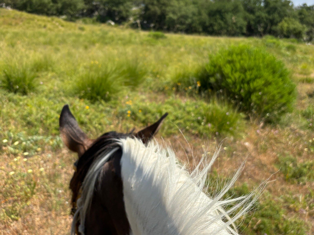 Horse Trekking Sicily景点图片