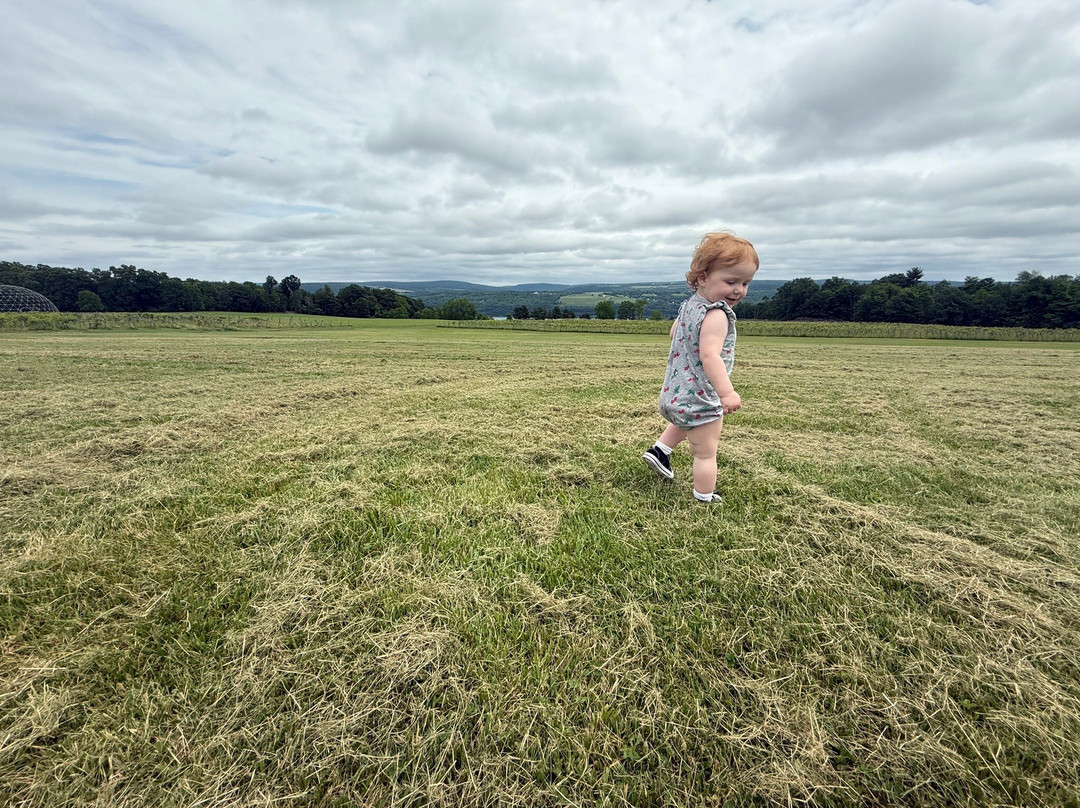Castel Grisch-沃特金斯格伦必去景点