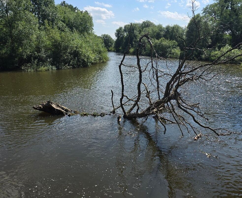 The Weir Garden景点图片