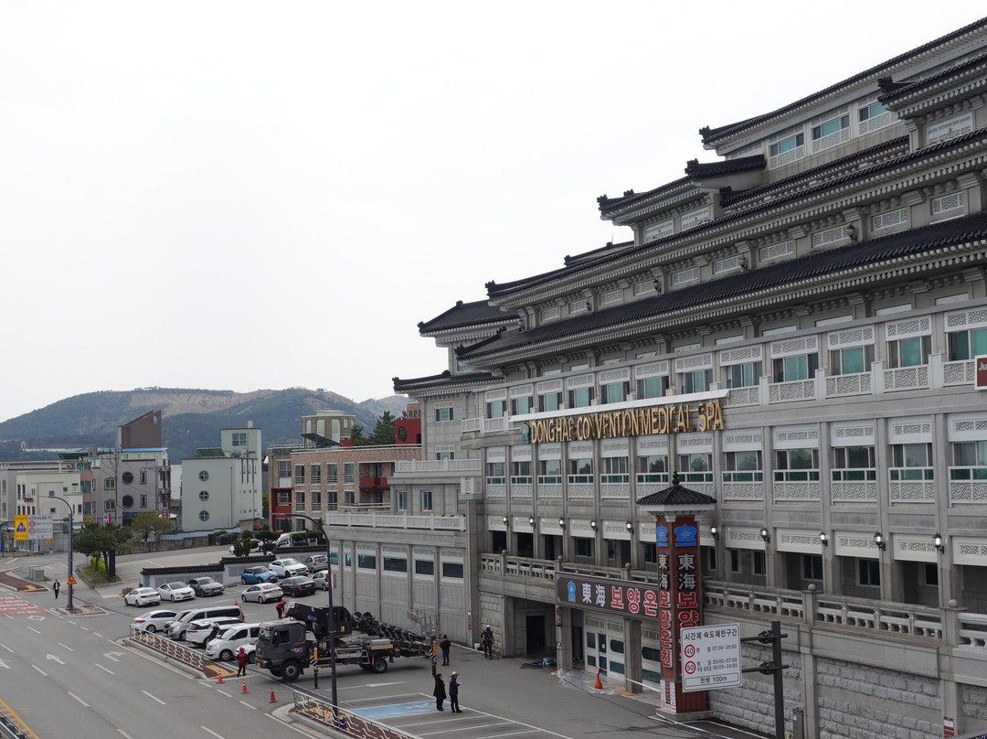 本昵客雅PREMIER东海保养溫泉会议酒店主图