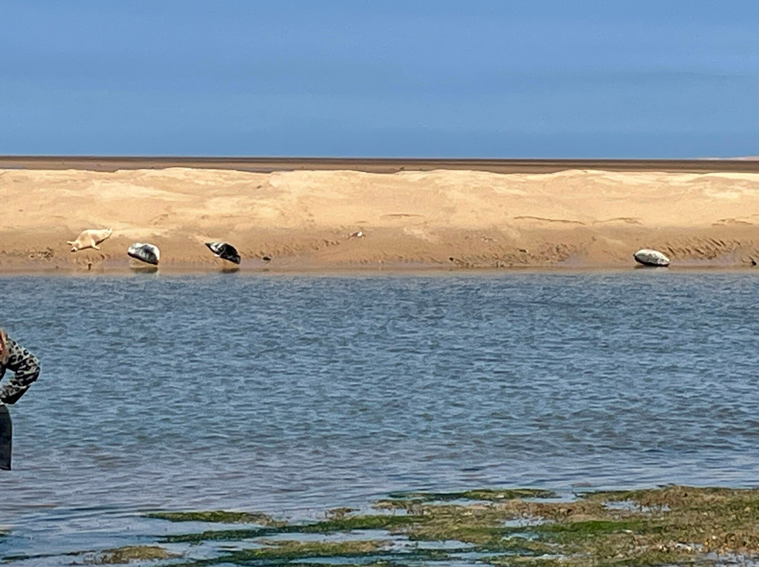 Holkham Bay-Wells-next-the-Sea必去景点