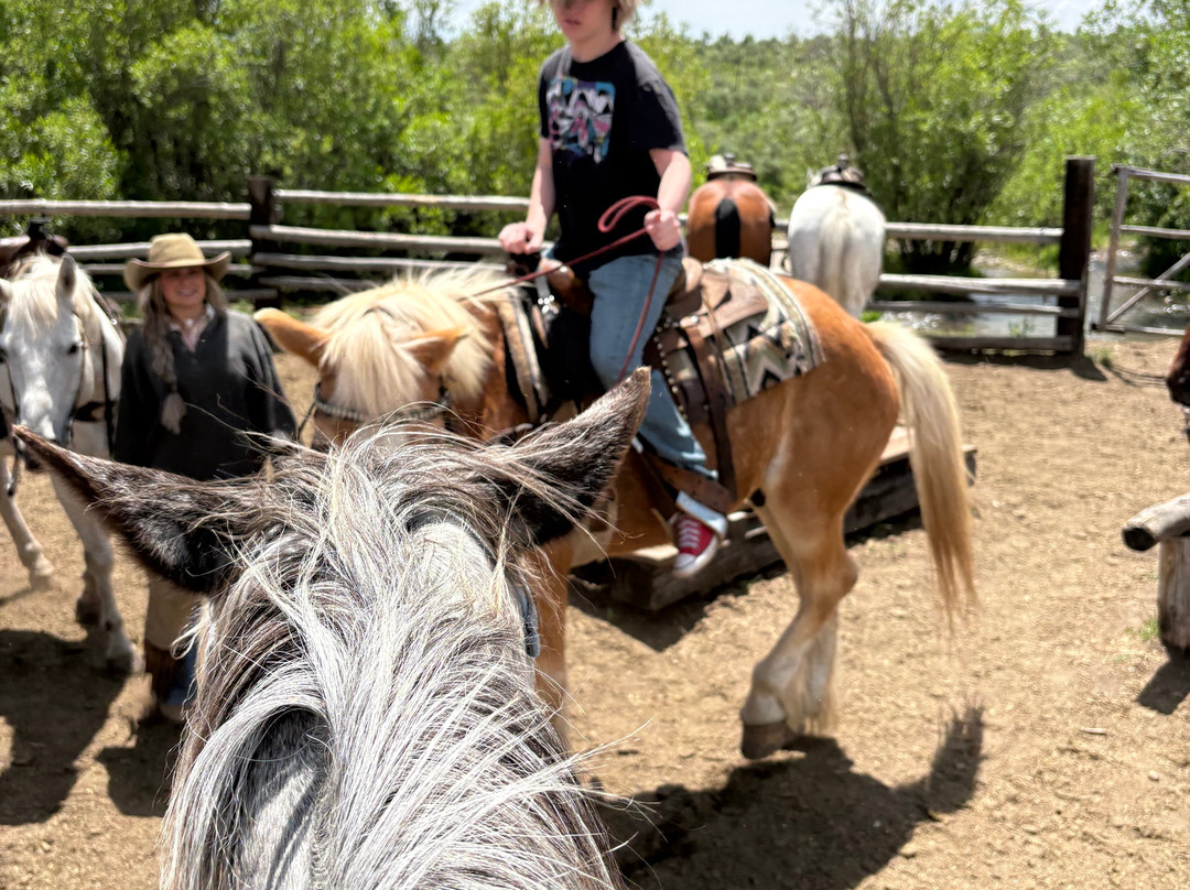 Yellowstone Horses - Eagle Ridge Ranch-艾兰帕克必去景点