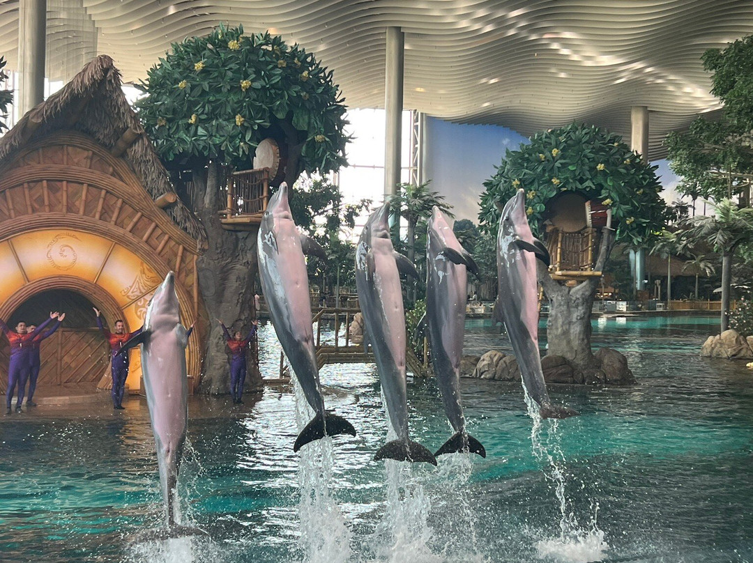 SeaWorld Yas Island Abu Dhabi景点图片