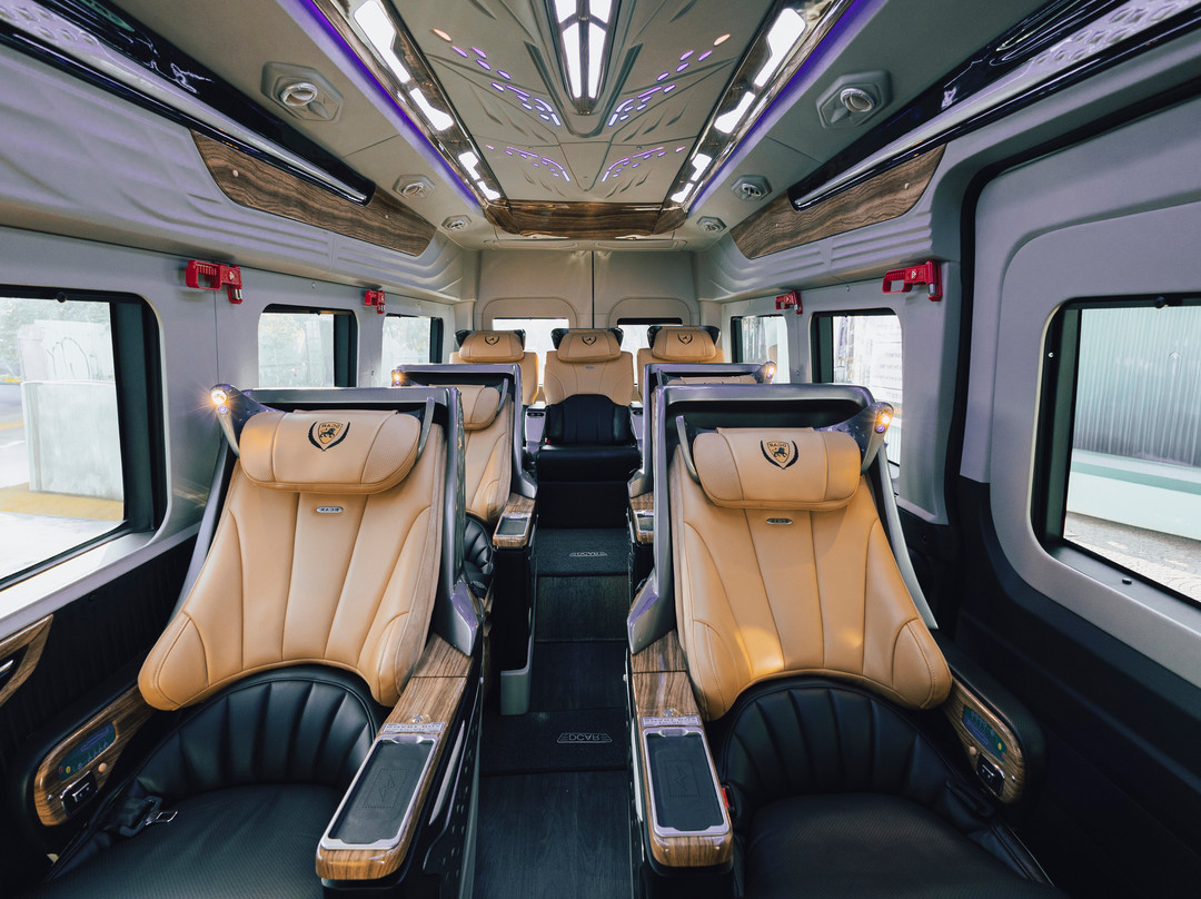 Phan Văn Travel-岘港必去景点