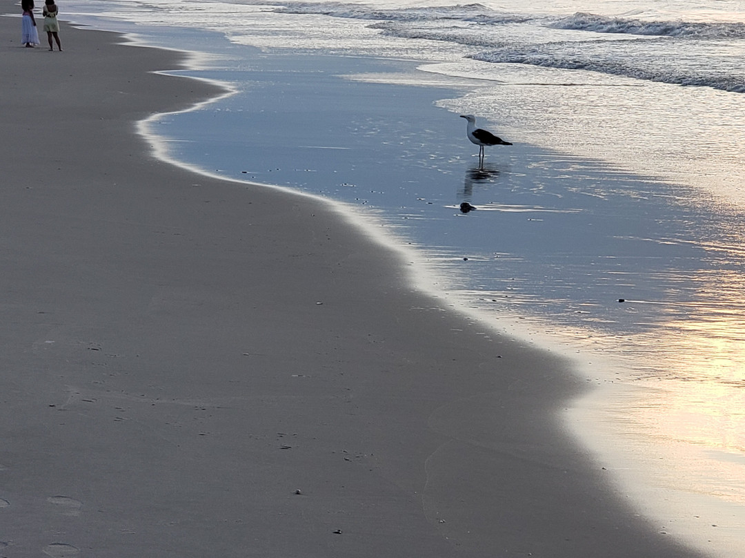 Legacy Vacation Resorts Brigantine Beach主图