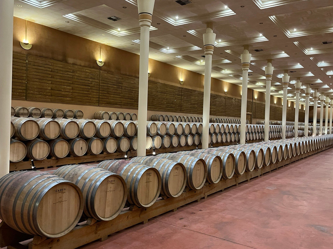 Bodega Finca Valpiedra-Fuenmayor必去景点