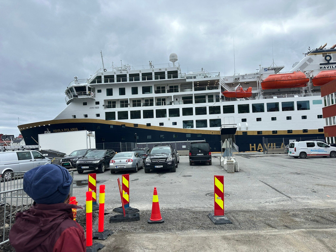 Havila Voyages-卑尔根必去景点