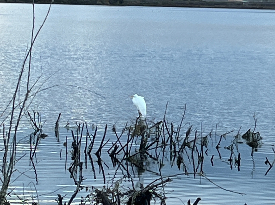 Friends of Ford's Pond-Sutherlin必去景点
