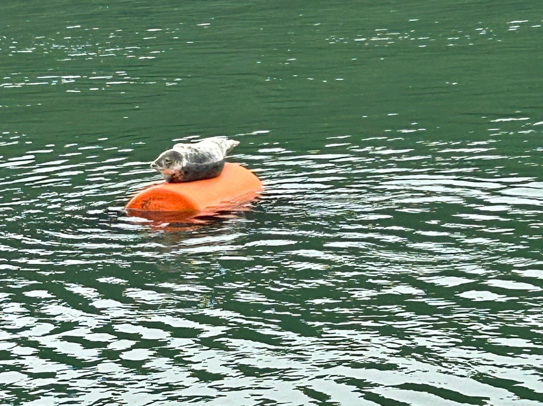 cornish pleasure cruises-法尔茅斯必去景点