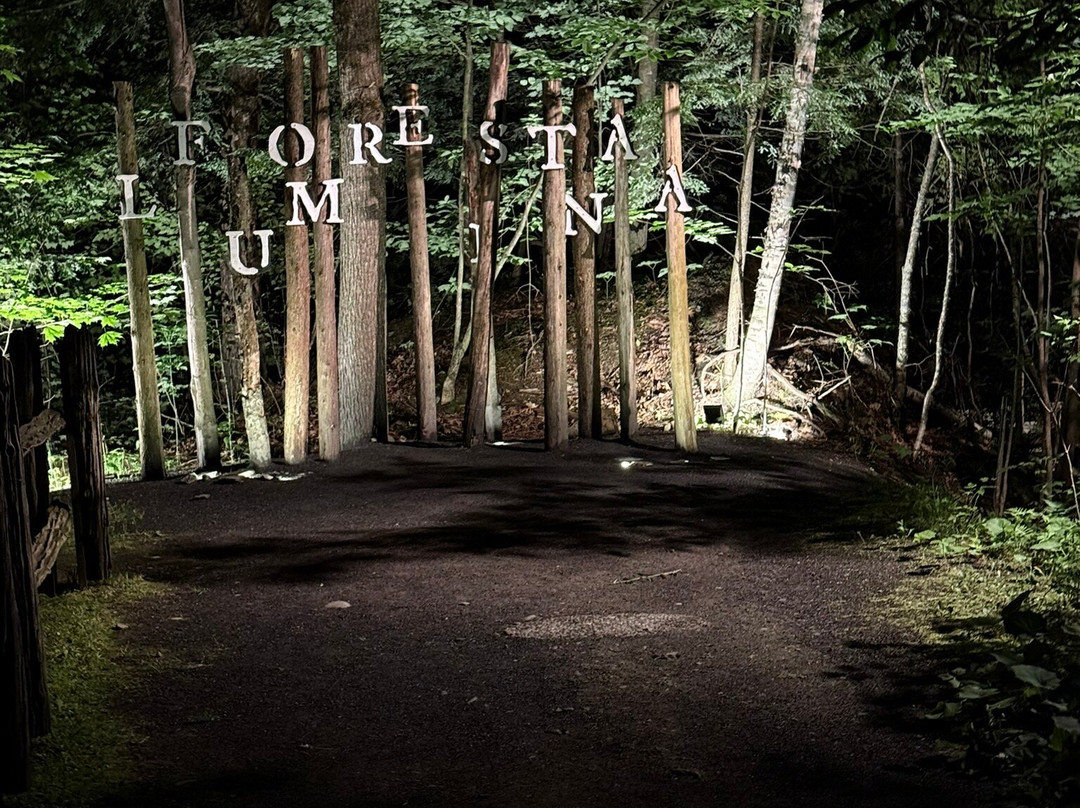 Foresta Lumina-Coaticook必去景点