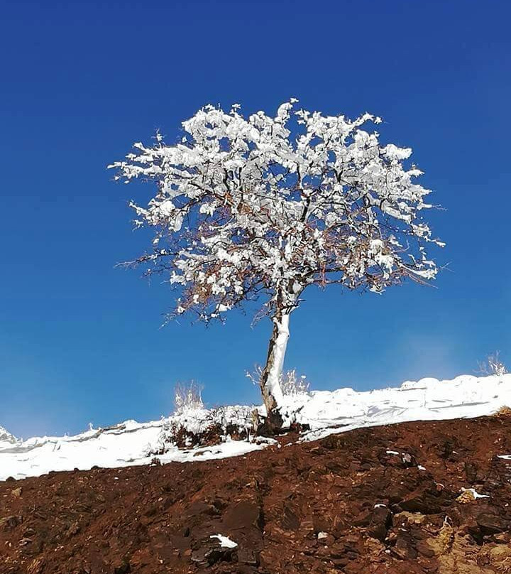 Shora-Choman必去景点