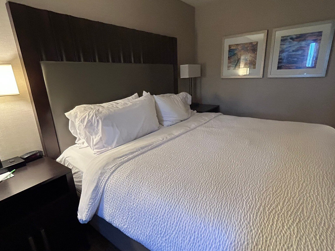 Holiday Inn Denver Lakewood by IHG主图