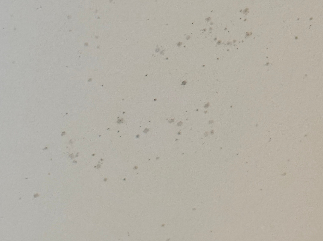 Home2 Suites By Hilton Memphis - Southaven主图