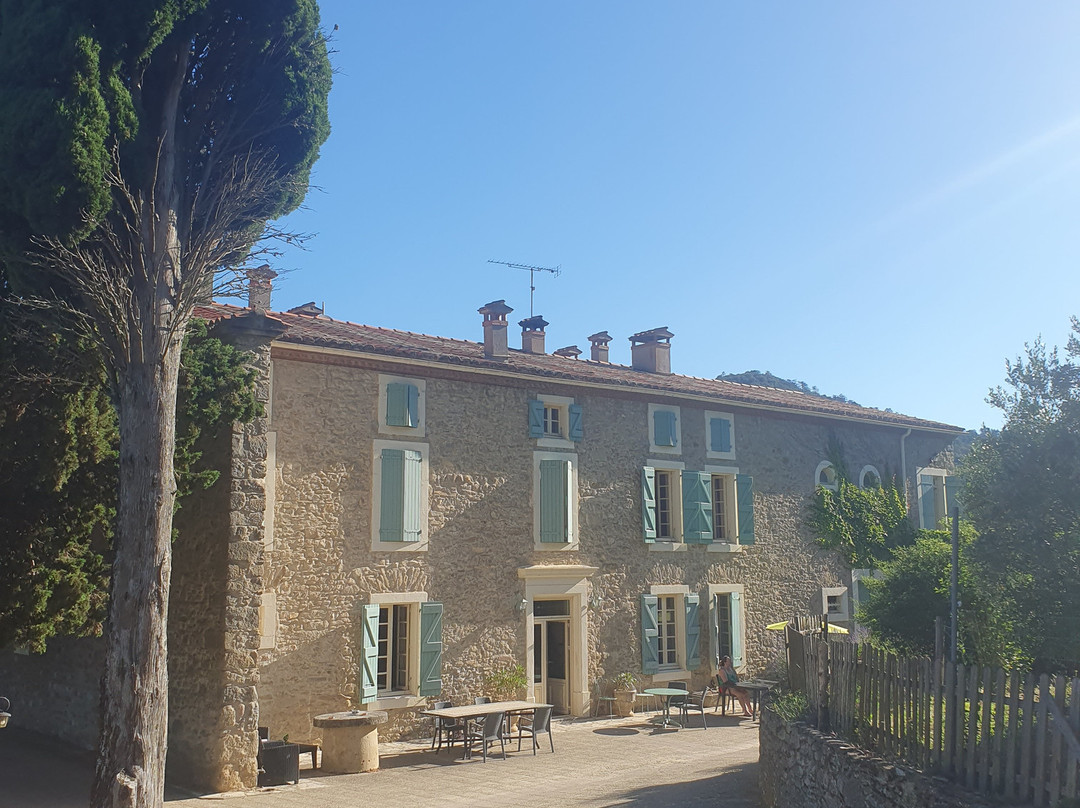 Domaine St Andrieu主图