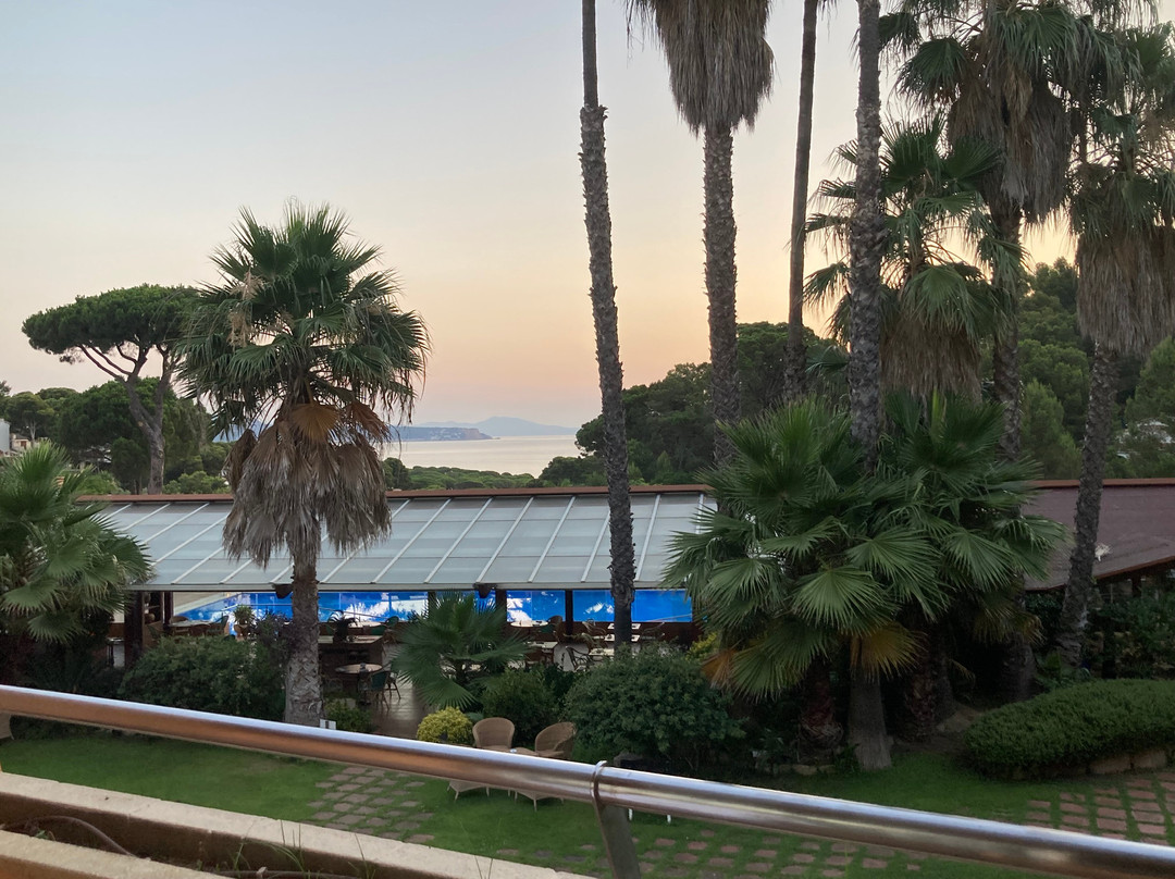 Hotel Sa Punta主图