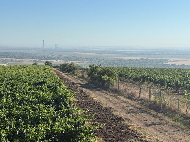 Chateau Purcari主图