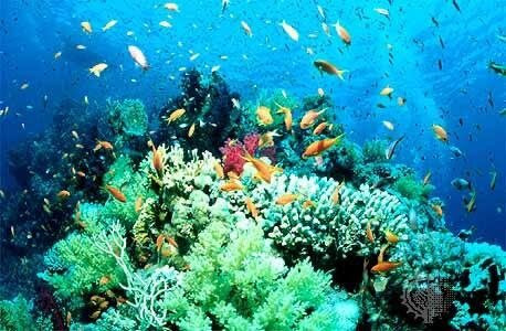 Blue Sharm-沙姆沙伊赫必去景点