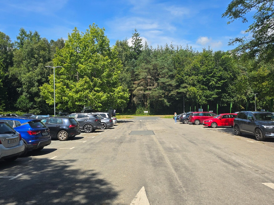 Avondale House & Forest Park-County Wicklow必去景点