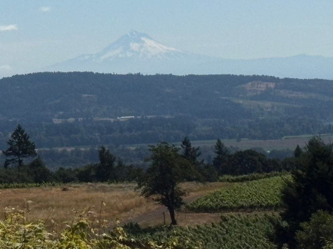 Domaine Drouhin Oregon-Dayton必去景点