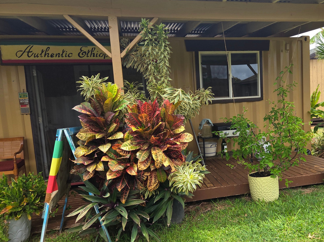 Ethiopian Food - Kauai