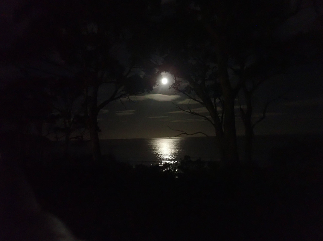 路夫拉酒店及公寓主图